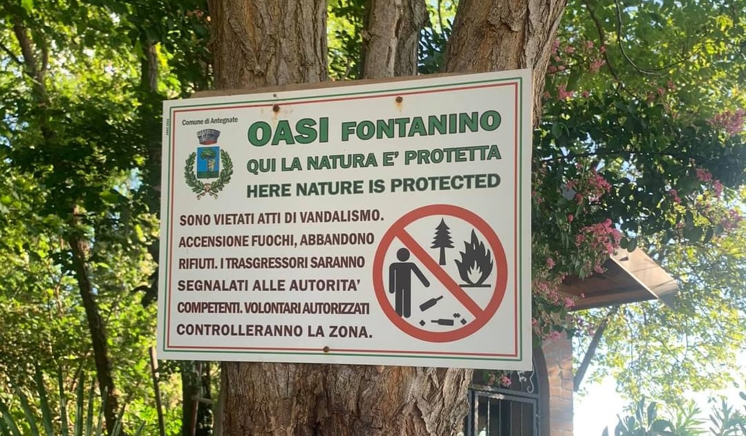 Degrado al Fontanino, vandalizzata l’oasi verde FOTO