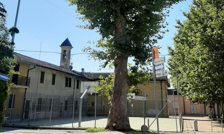 Il platano di Badalasco è monumento nazionale