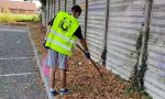 I Rudaroli: "Va bene andare in camporella ma almeno lasciate pulito..." FOTO VIDEO