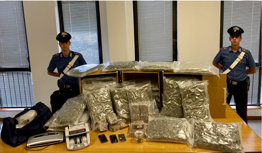 In casa nascondeva 50 chili di marijuana, arrestato 29enne