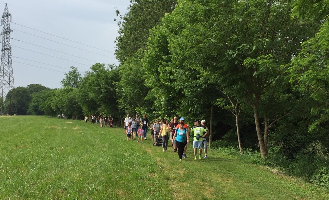 Passeggiata enogastronomica per le campagne trevigliesi