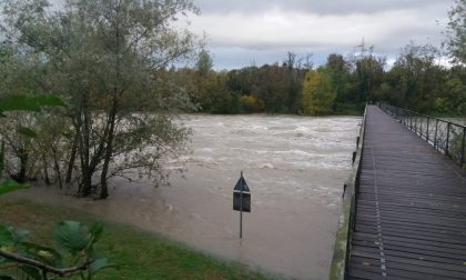 L'Adda in piena esonda nel parco di Fara FOTO