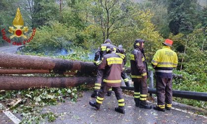 Maltempo: 36 interventi dei pompieri in poche ore, alcuni anche nella Bassa FOTO