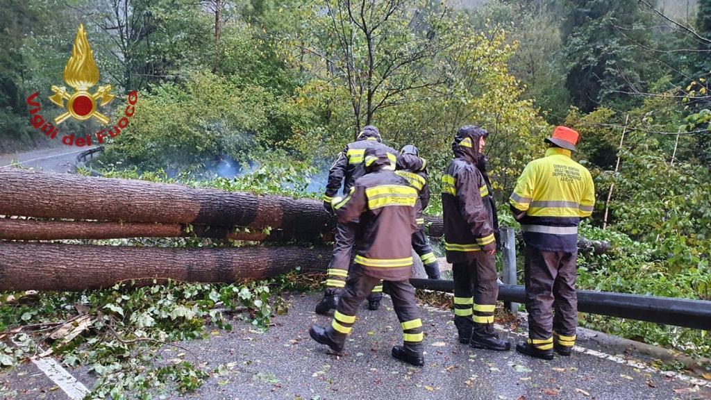 Maltempo: 36 interventi dei pompieri in poche ore, alcuni anche nella Bassa FOTO