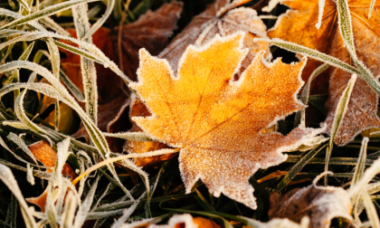 Sole, velature di passaggio e prime gelate notturne