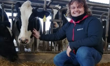 La mucca Speranza in dono a un allevatore piegato dal botulino