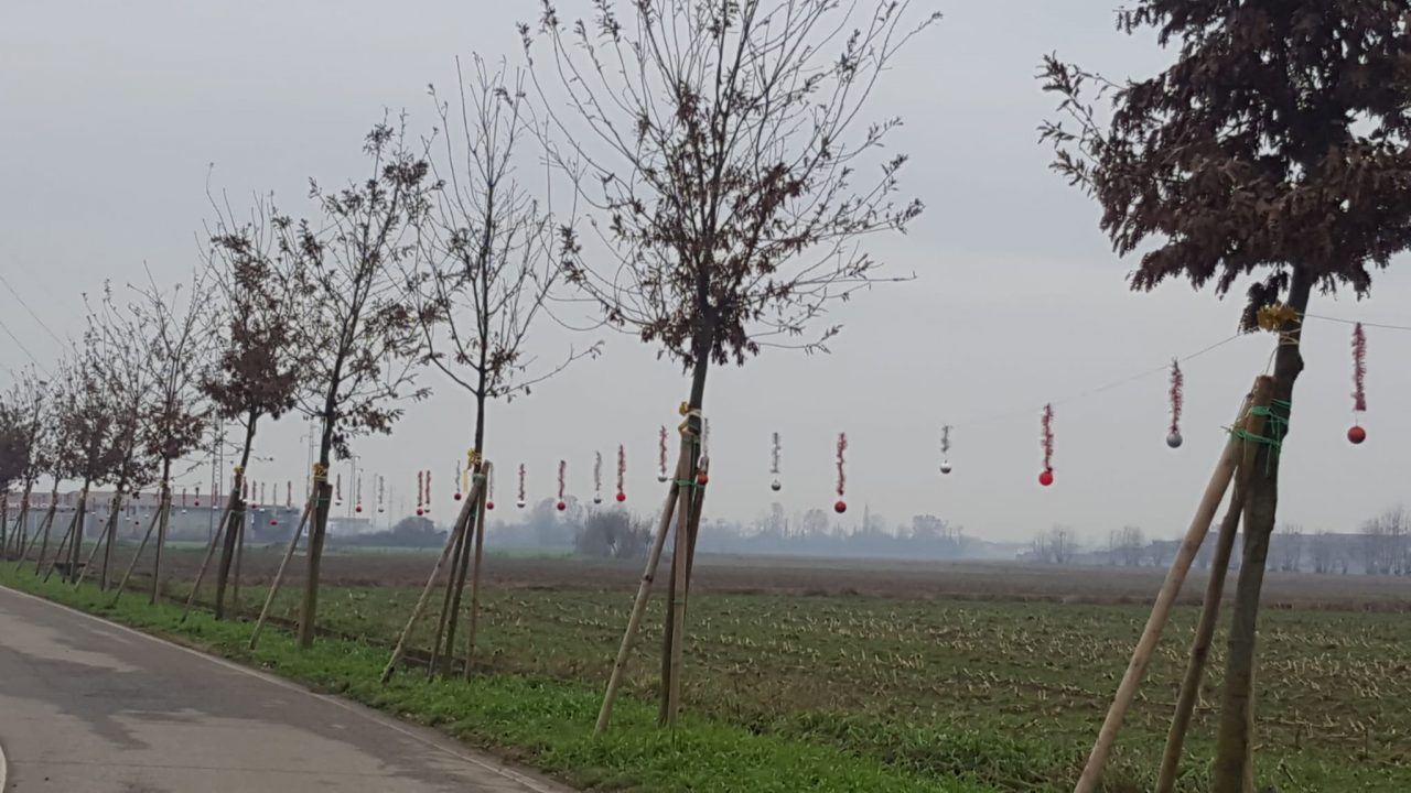 Addobbi natalizi distrutti, il quartiere dei Gazzi contro i vandali