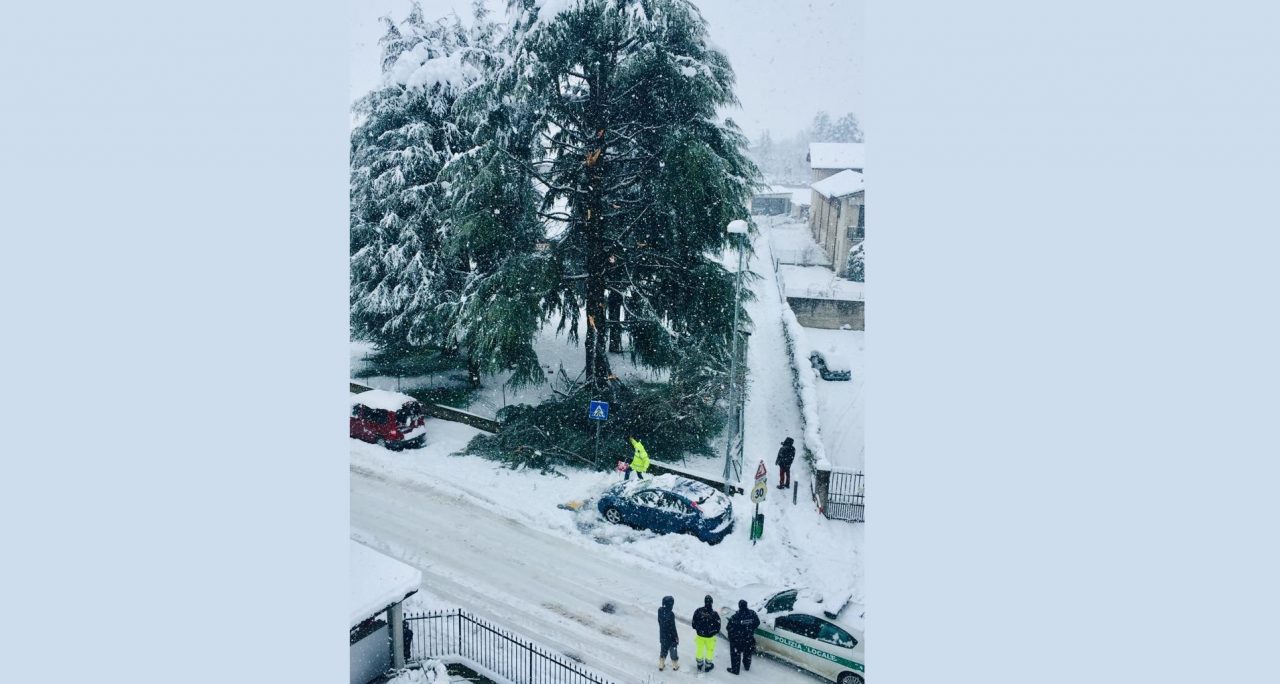 Neve, rami si schiantano e sfiorano le auto parcheggiate all’asilo