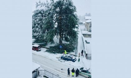 Neve, rami si schiantano e sfiorano le auto parcheggiate all'asilo