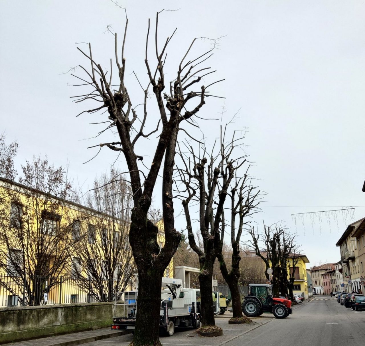 Brignano, potature massicce in via Locatelli dopo i disagi causati dalla neve