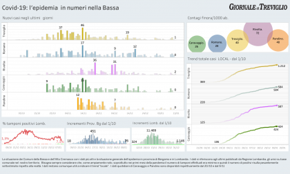 Covid-19, i dati  di oggi nella Bassa: aumentano i ricoveri in Lombardia