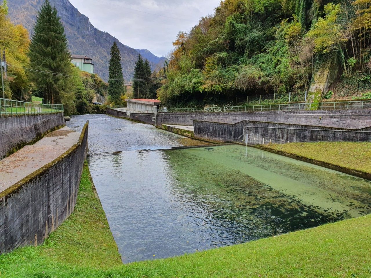 L’acqua del rubinetto ha cambiato sapore? Vi spieghiamo perché