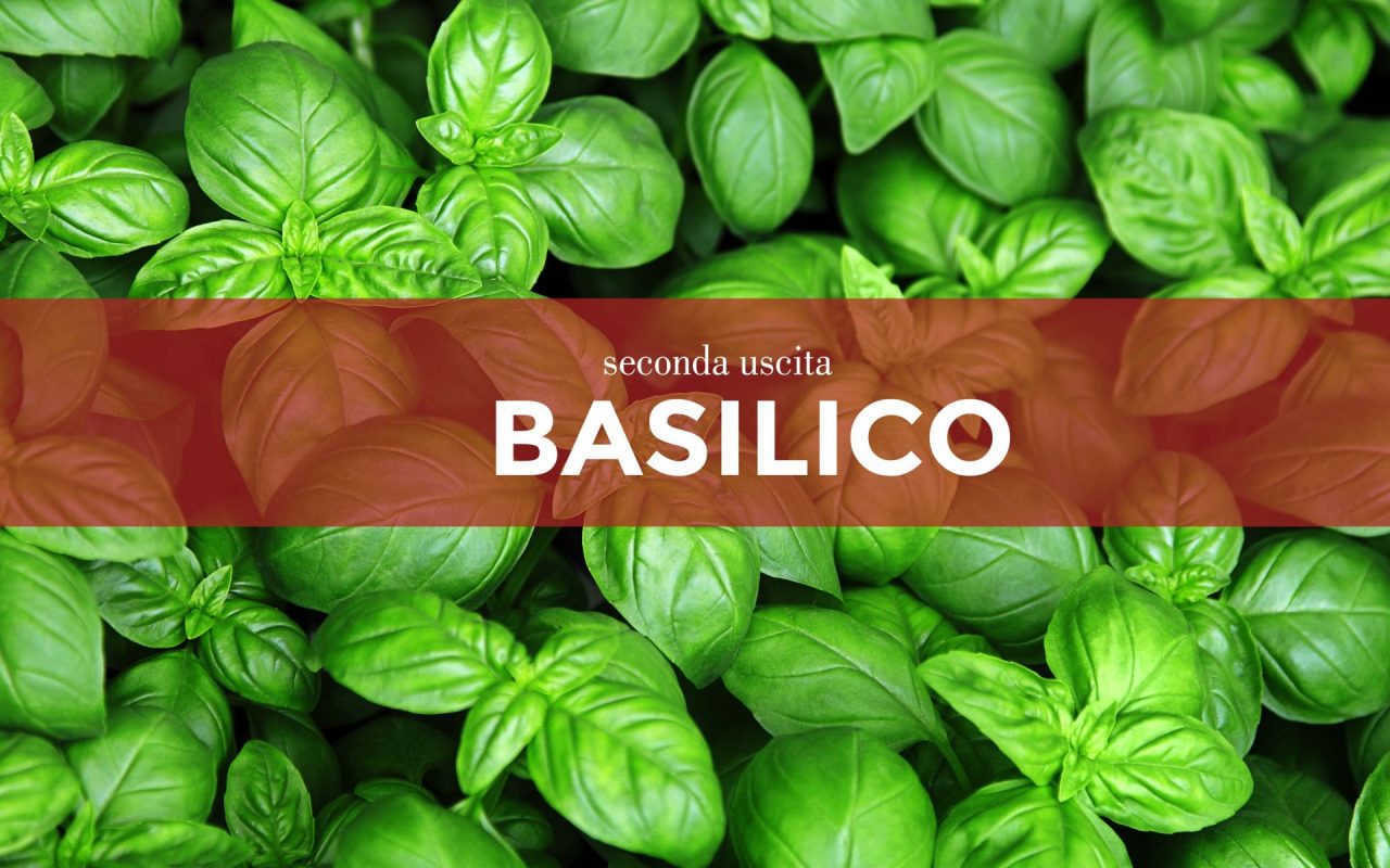 Tutti ortisti: in edicola con il Giornale di Treviglio i semi di basilico