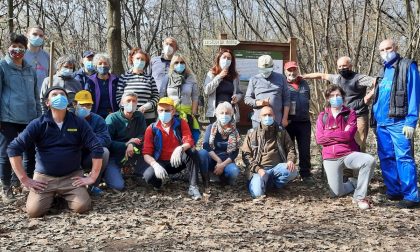 Torna Curiamo il Bosco d'inverno: volontari al lavoro al Cerreto