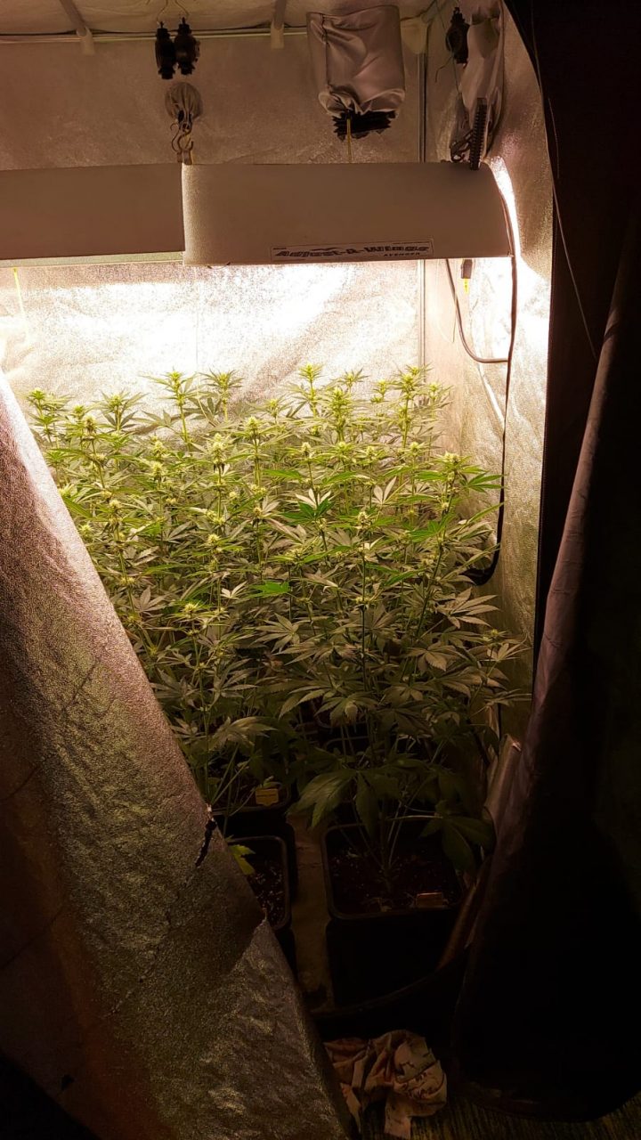 Sequestro marijuana Bergamo