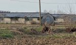 Il video dello scempio al bosco di Cascina Spina