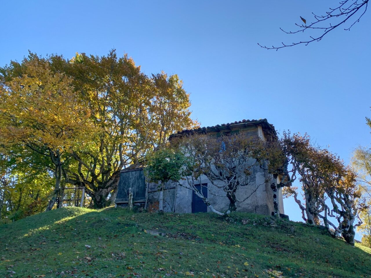 Roccoli lombardi, 80mila euro per conservazione e valorizzazione