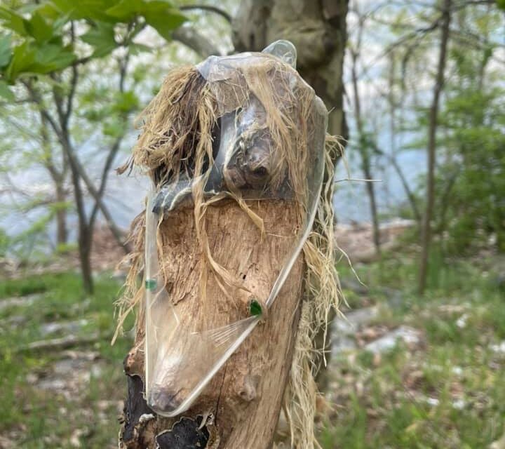 Ancora vandalismi ai danni degli ecoguardiani