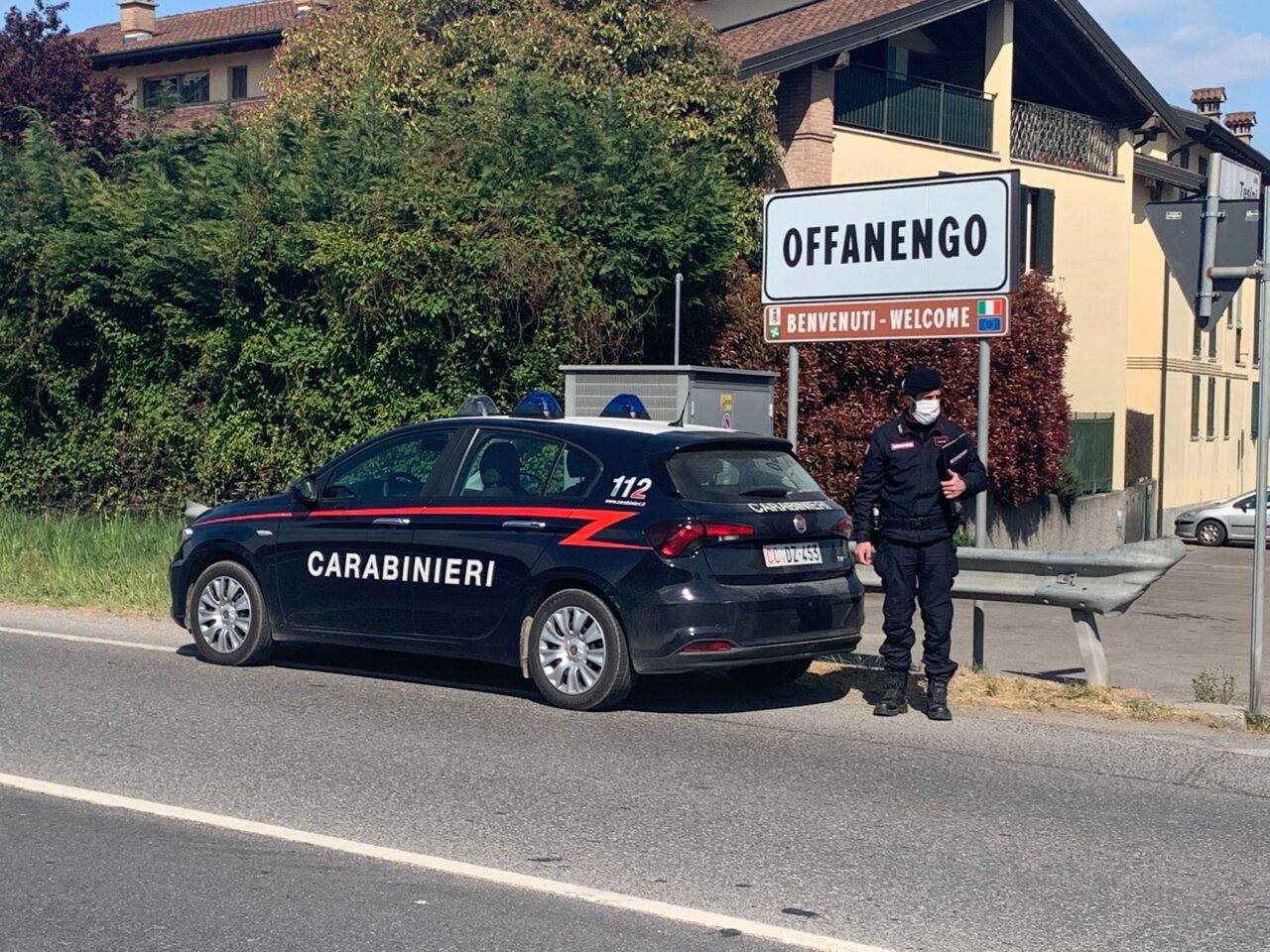 Trovato in possesso di dieci alberi rubati, giovane denunciato per ricettazione