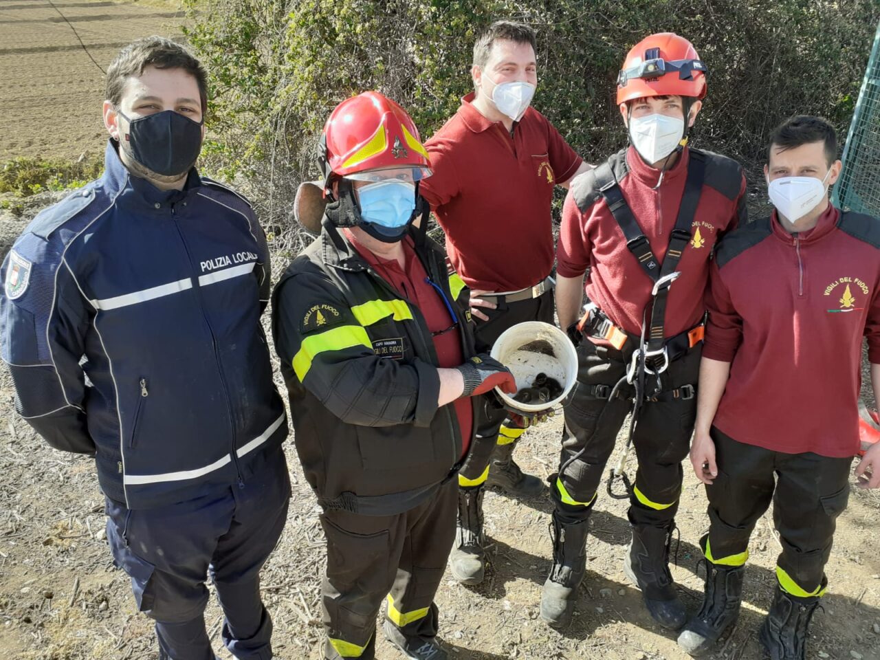Tre pulcini di germano reale intrappolati nel pozzo, salvati dai Vigili del fuoco