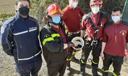Tre pulcini di germano reale intrappolati nel pozzo, salvati dai Vigili del fuoco