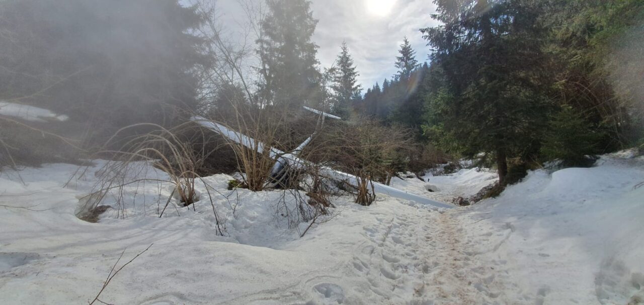 Aliante si schianta in mezzo al bosco: paura in Val Seriana