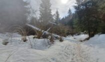 Aliante si schianta in mezzo al bosco: paura in Val Seriana