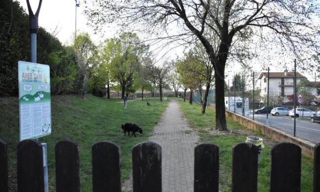 Soccorre il suo cane aggredito dai pitbull e viene preso a calci dal padrone