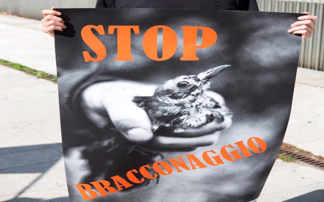 Ambientalisti contro Regione: nessuna restrizione anti-Covid per i cacciatori