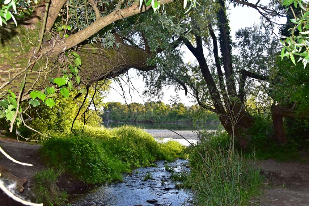 Alla scoperta del bosco sull’Adda con la neonata “La Lanca Odv”