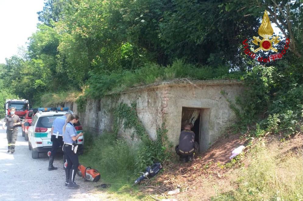 Intrappolata in una piccola galleria, volpe salvata di Vigili del fuoco