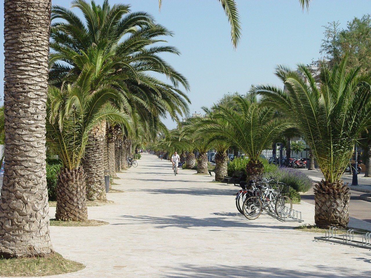 A San Benedetto del Tronto “copiano” il sondaggio elettorale di Treviglio