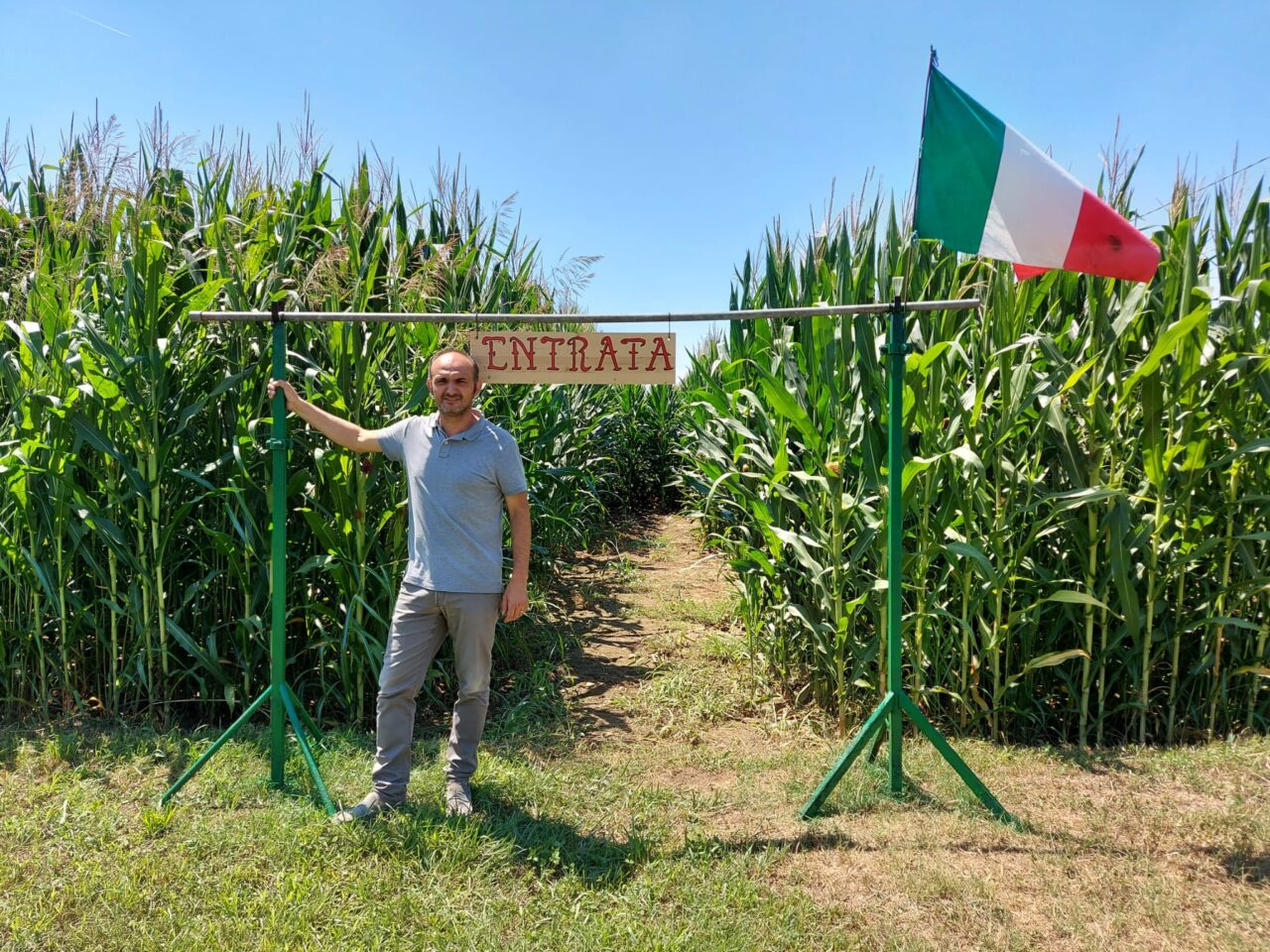 Nelle campagne di Treviglio spunta un labirinto nel mais