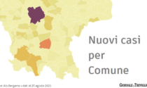 Covid-19, contagi stabili nella Bassa