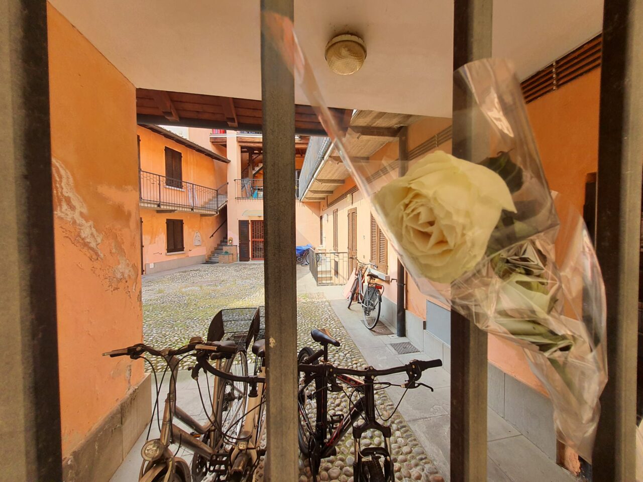 Treviglio Manuela Guerini