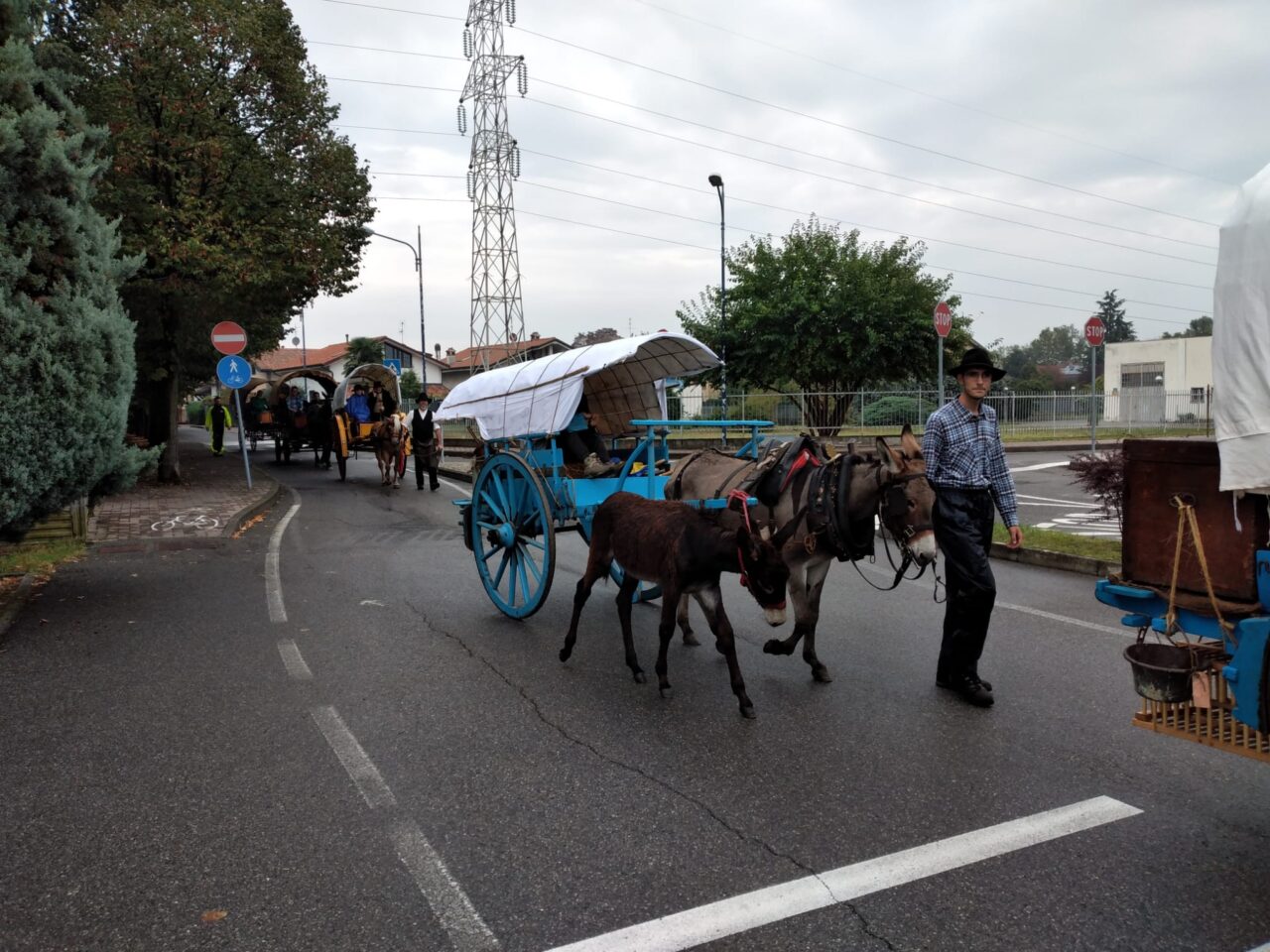 Da Serina a Soncino: la Transumanza dei bergamini torna nella Bassa