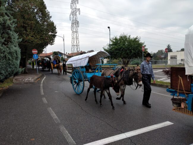 Da Serina a Soncino: la Transumanza dei bergamini torna nella Bassa