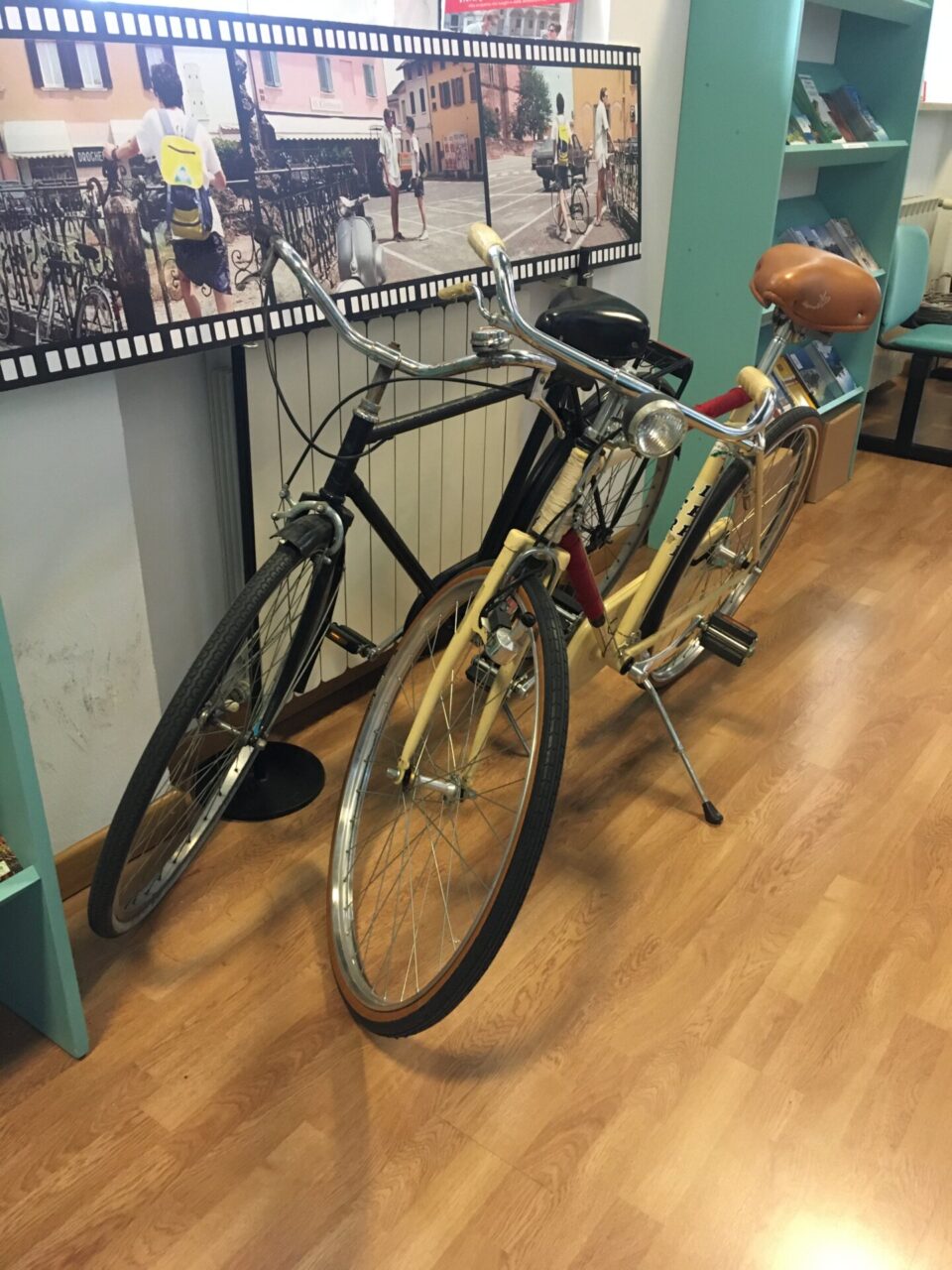 Festival Bike