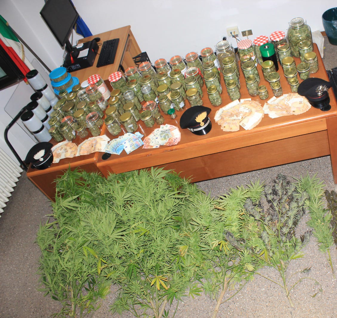 In casa avevano 10 chili di marijuana, padre e figlio arrestati dai carabinieri