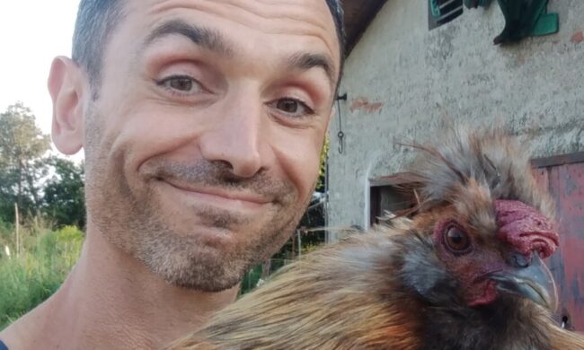 “Hanno rubato i miei nove polli”. Per i Villa erano come animali domestici