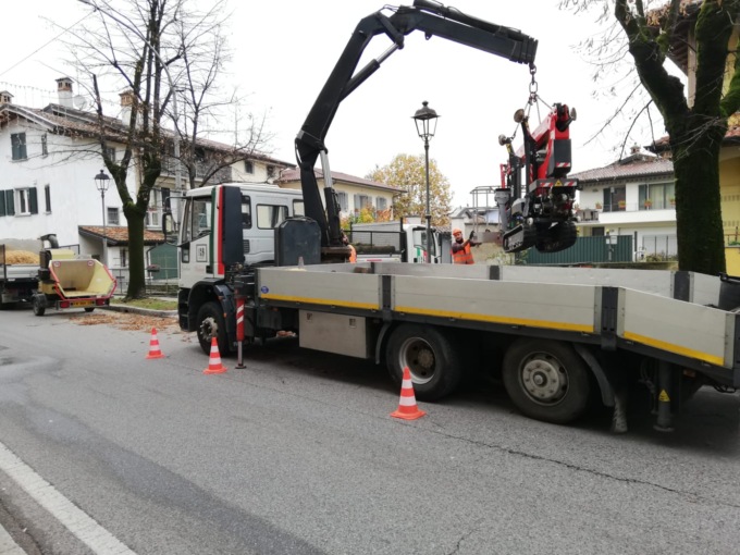Erano malati, abbattuti cinque tigli storici di via Roma