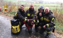 Cane finisce nella scarpata, salvo grazie ai Vigili del fuoco