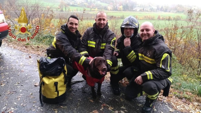 Cane finisce nella scarpata, salvo grazie ai Vigili del fuoco