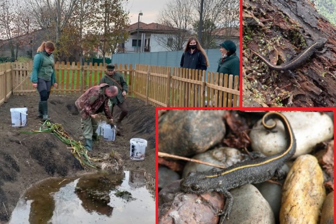 Una nuova casa per i tritoni di Rivolta