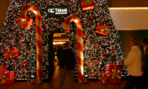 QC Terme a Natale sogna New York