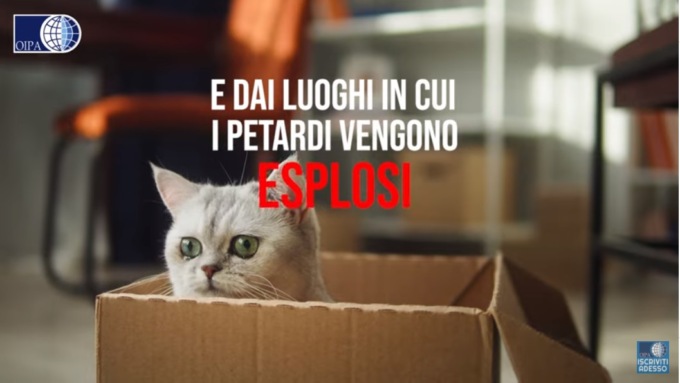 Botti di Capodanno,  il decalogo per proteggere gli animali domestici