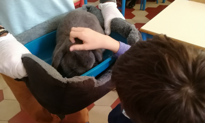 Dolci coniglietti per la pet therapy alla “Merisi”