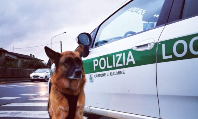 Guidava da 36 anni senza patente