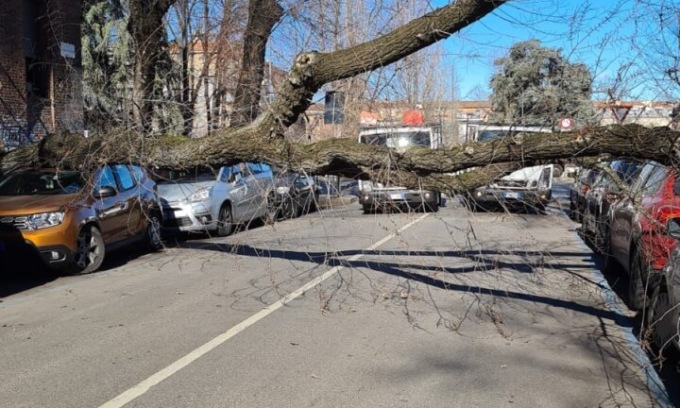 VENTO, STRADE BLOCCATE DA CADUTA ALBERI (FOTO 2)