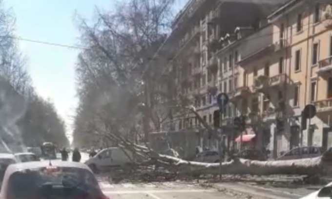 VENTO, STRADE BLOCCATE DA CADUTA ALBERI (FOTO 1)